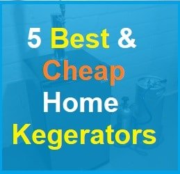 Best cheap home kegerators