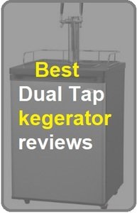 Best-dual-tap-kegerator-reviews