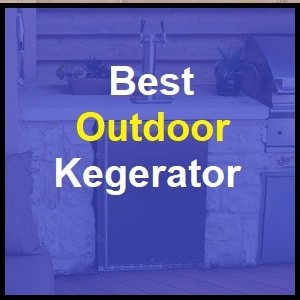 Best outdoor double tap kegerator 