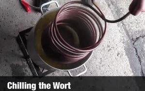 Chilling wort