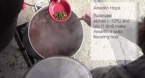 adding-hops