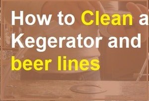 How to Clean a Kegerator and beer lines 