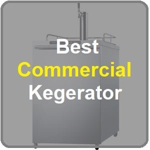 best commercial kegerator