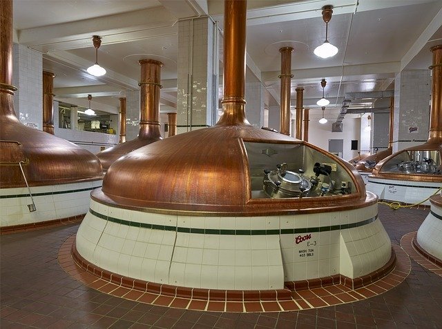beer brewing